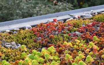the cost of The Drove green roof installation