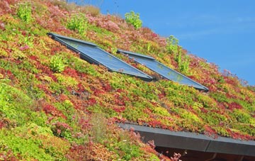The Drove living roof systems